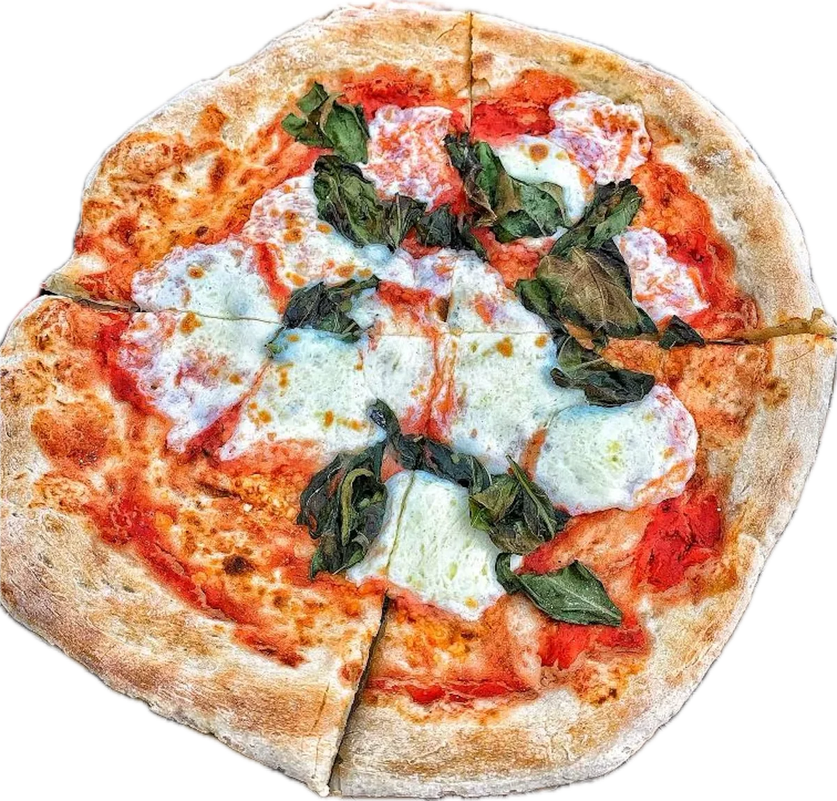 Margherita Pizza